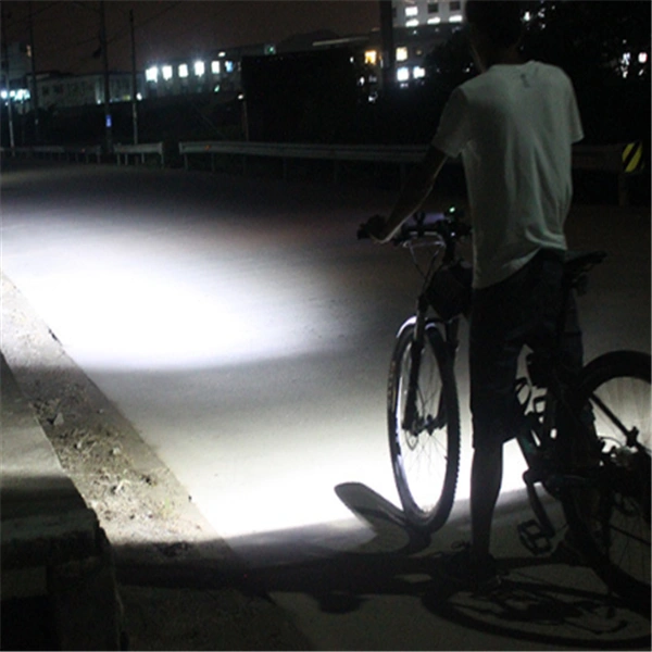 Bicycle Light